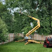 Best Hazardous Tree Removal  in Lumberton, NC